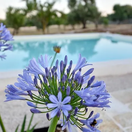Lamia Donnagnora - Con Piscina A Villa