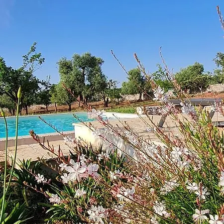 Lamia Donnagnora - Con Piscina A Villa