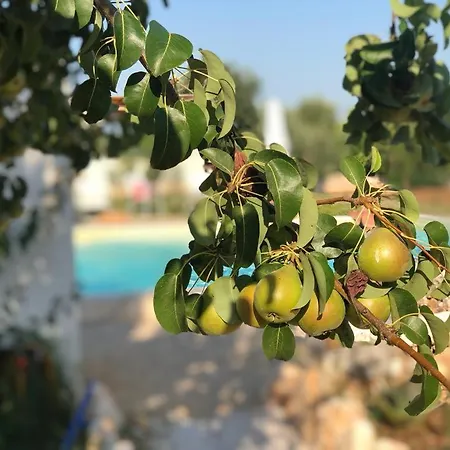 Làmìa Donnagnora - Con Piscina A *
