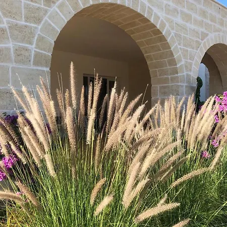 Villa Lamia Donnagnora - Con Piscina A *